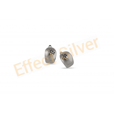 Earrings with polished surface